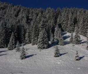 yapboz Karlı bir manzara Noel ağaçları